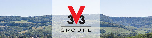 V33 Group
